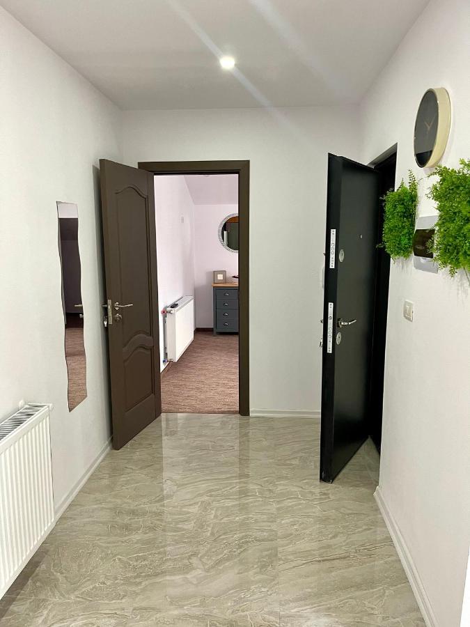 Cozy Apartament With 2Rooms Timişoara Exterior foto